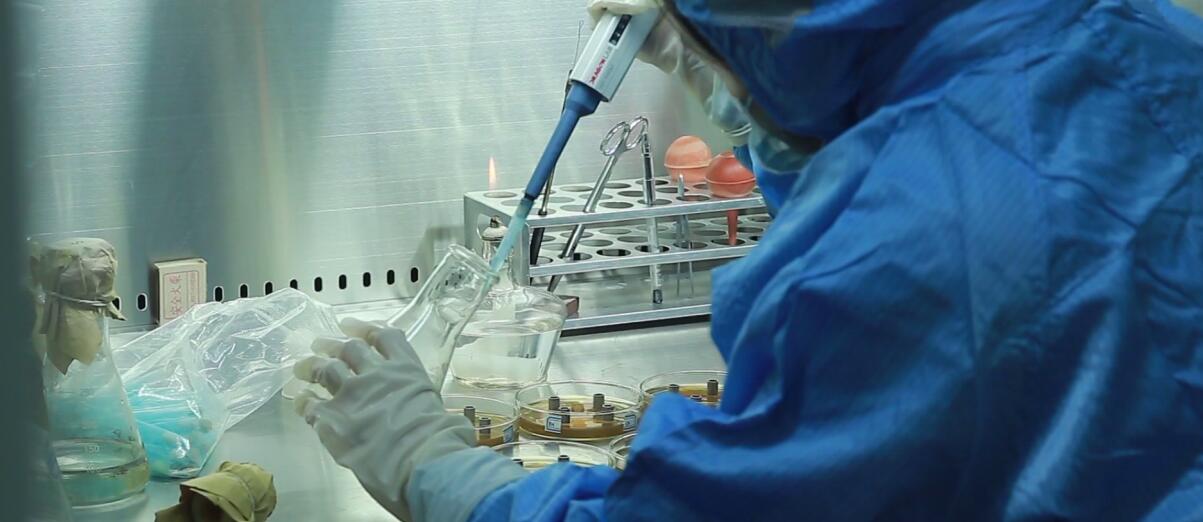 BG����(�й�)�ٷ���վ